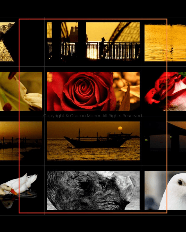 Photography: LIFE by Osama Maher